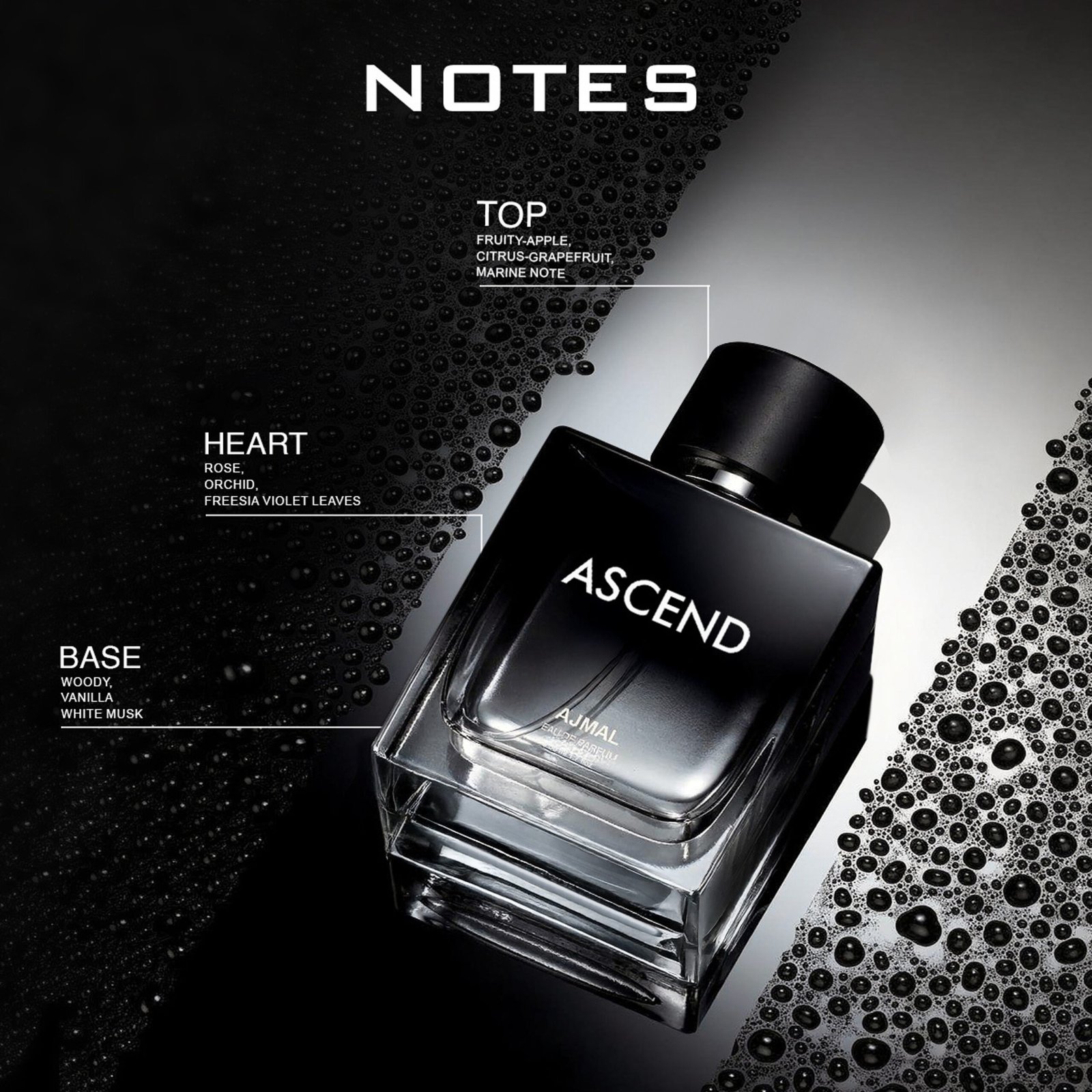 Ajmal Ascend Oriental Perfume Long Lasting Scent Spray Office Wear Eau de Parfum - 50 ml - Image 3