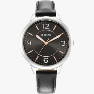 Titan Ladies Workwear Sl Analog Watch - For Women
